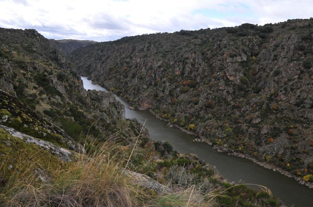 Posada Real La Mula De Los Arribes Villardiegua de la Ribera Exteriör bild