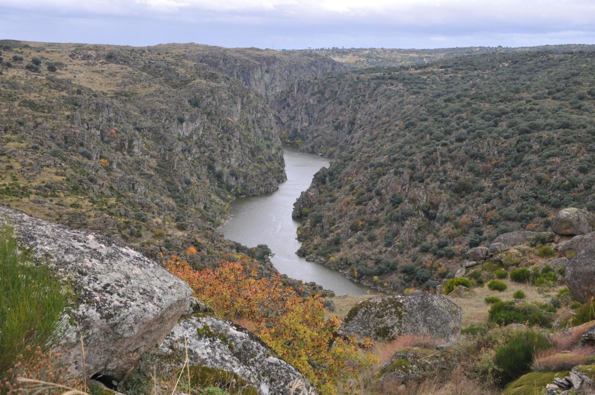 Posada Real La Mula De Los Arribes Villardiegua de la Ribera Exteriör bild